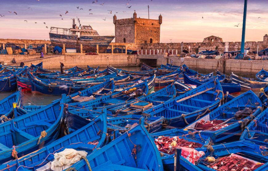 ESSAOUIRA MOGADOR DAY TRIP