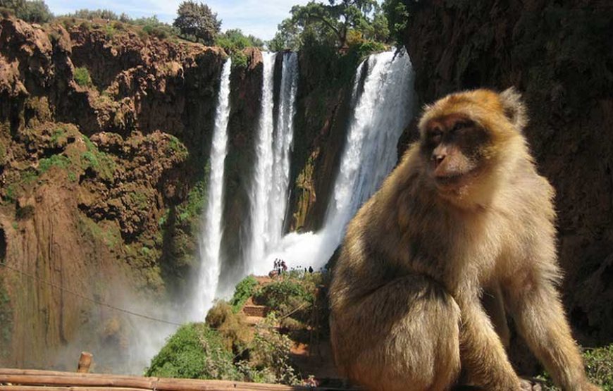 OUZOUD WATERFALLS DAY TRIP