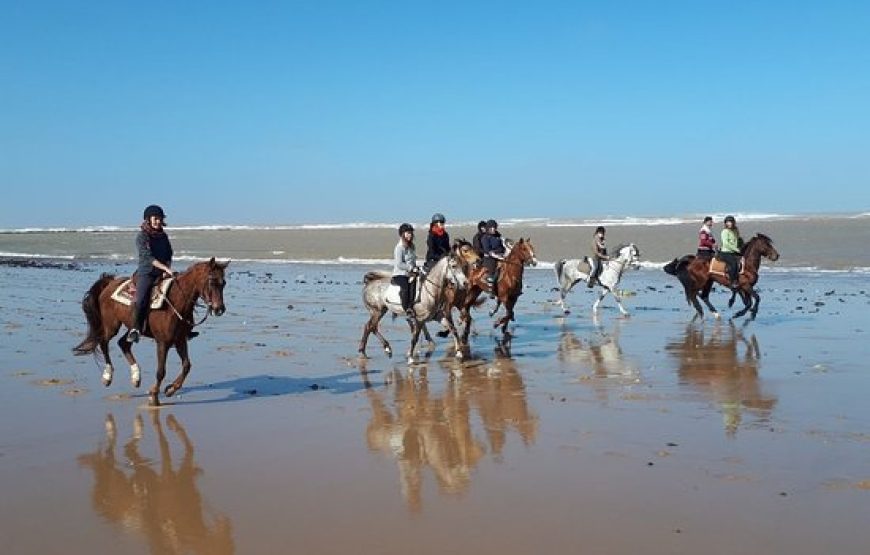 ESSAOUIRA MOGADOR DAY TRIP